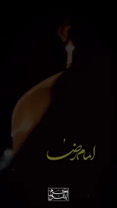 #سیدجوادذاکر 