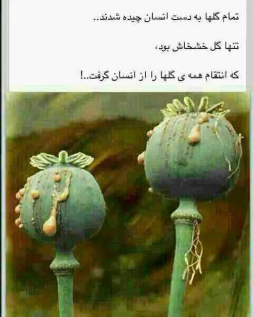 اگه گفتین چیه جایزه دارین اگه درست گفتین مغازه ملک جایزه 