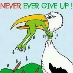 هیچ وقت زود تسلیم نشوید.