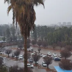 یه یهویی از بارون الان شیراز 