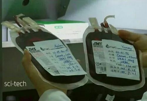 افتتاح اولین بانک خون حیوانات