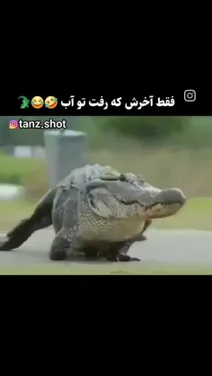 فقط وقتی میره زیر اب🤣🤣