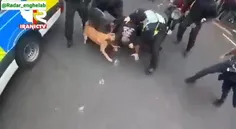 حمله پلیس بریتانیا با سگ به معترضین