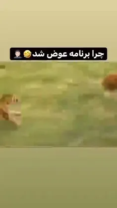 باید سر این موضوع پروفسور بیاریم😂