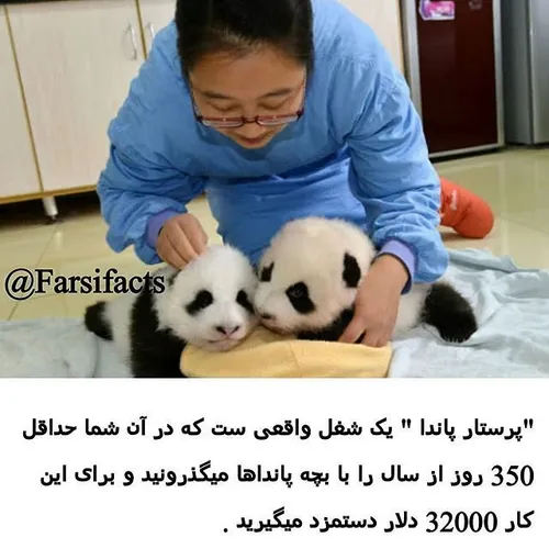پرستار پاندا panda naturefarsifacts