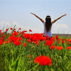 هر روز صبح که چشم میگشایی ..