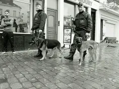 پلیس های بلژیک در حال گشت زنی....