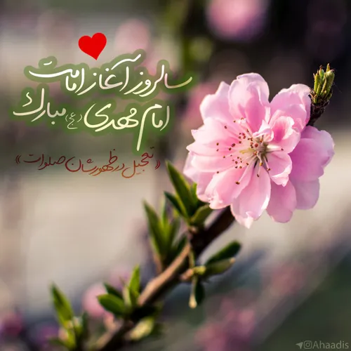 لحظات حساس همین حالاست