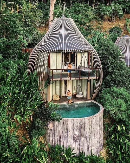 ‏طراحی بی نظیر هتل جنگلی Phuket Province در تایلند👌
