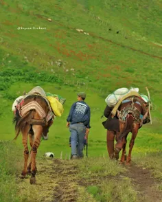 #احساس زیبای خود را بیان کنید🙏  🙏  🙏  