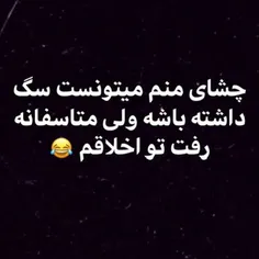 #عکس_عاشقانه_حامد #تکست #تیکه #تنهایی #شاخ #پسرونه #دخترو