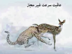 سرعت غیر مجاز