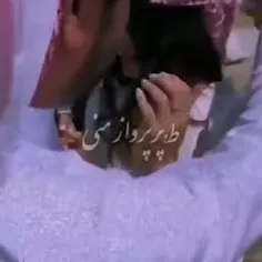 ط پر پرواز منی🦋