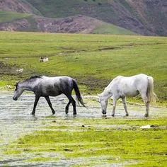 #طبیعت