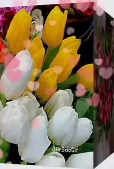 🌷امروز تون گلباران