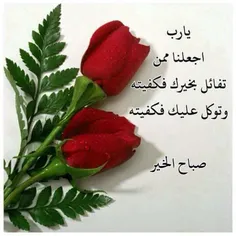 شخصی ...mosa 24973086