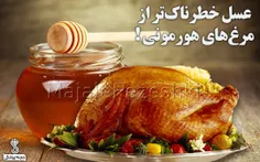 عسل خطرناک‌تر از مرغ‌های هورمونی !🍯 