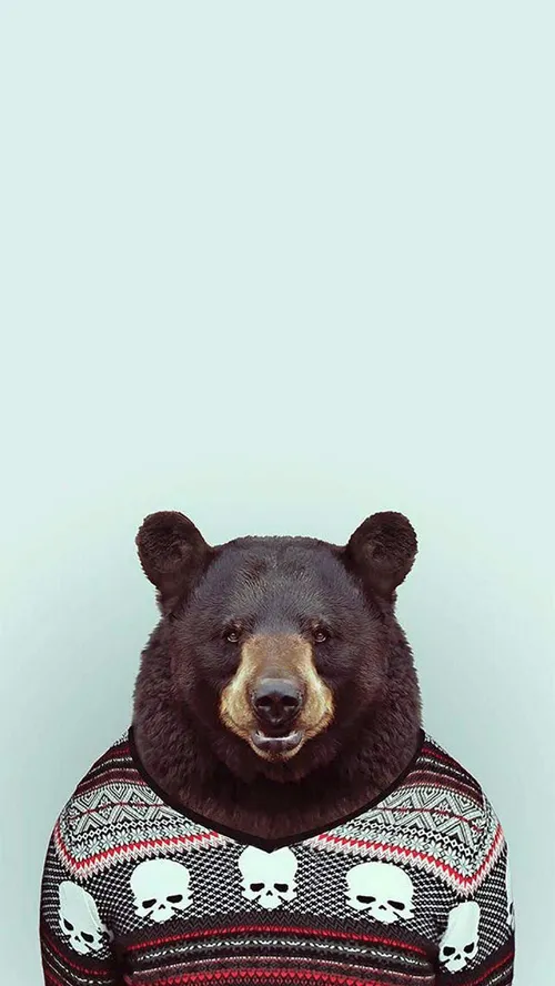 💎 Wallpaper 🐻 Animal