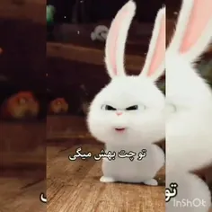 مواد میزنین مگع😂