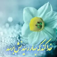 السلام علیک یا اباصالح المهدی عج🌼 