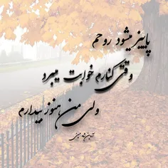 شعر سپید