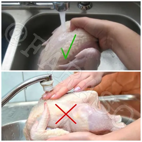 شستن مرغ خام سبب پراکنده شدن باکتری سمی کمپیلوباکتر می شو