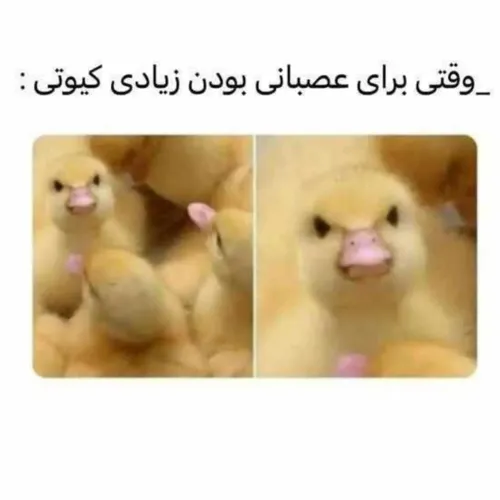 قبول دارین این جیمین؟؟😁😁