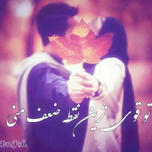 -// نیمی از زندگی ست👌 🏻 ✨