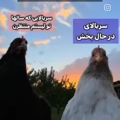 حقق