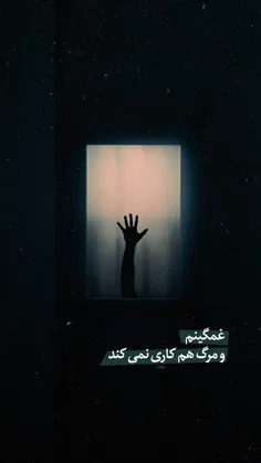 عکس خبری sober 35153225