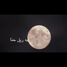 رد شو