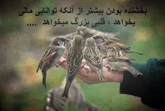 قلب مهربان