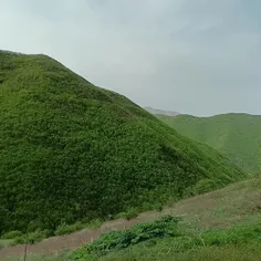 طبیعت ایران زیبای من جنگل های ارسباران 