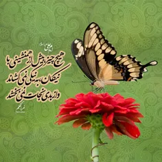 💚 امام علی علیه‌السلام: