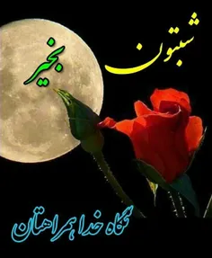 شب همگی بخیر ⚘️🙏⚘️🖐