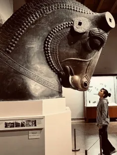 🔻 اینجا موزه شیکاگو و این تصویری از یک سرستون ایرانی است 