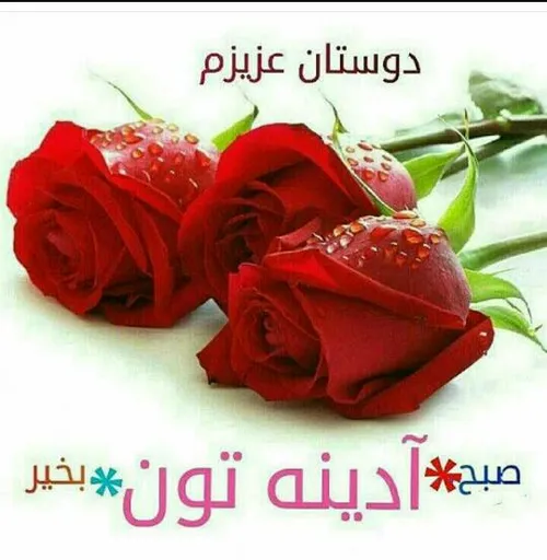 سلام،صبحتون بخیر🍃 🌸