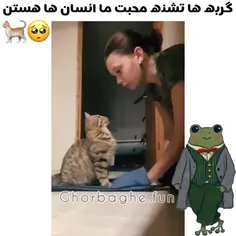 راجب این یکی نمیتونم چیزی بگم 🙂🙃