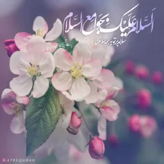 🌼السلام علیک بجوامع السلام....