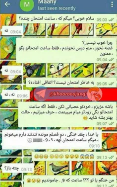 به اینا میگن دوتا مغز