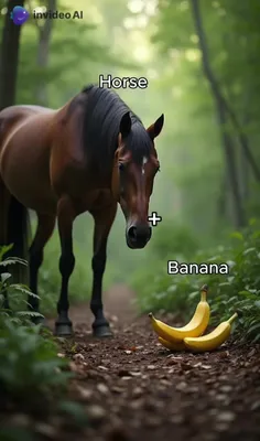 *پیج شگفت انگیز ویسگون*تشکرازلایک و حضورتون*