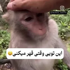 این توییی ک وسط چت میگی قهرم پلشت قیافت اینجوری میشه 😂😂🤪