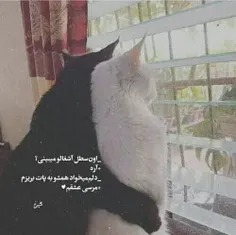 #کاهش_استرس ╮😔💫╭