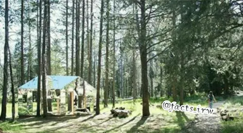خانه ای عجیب معروف به خانه نامرئی در جنگل