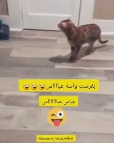 عباس ها اعلام حضور کنن😂