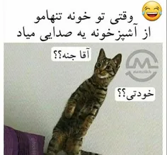 اندکی سم