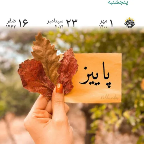 عالی