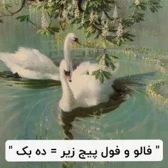 بک