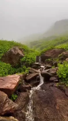 سلام صبح زیباتون بخیر و شادی 🌹🌹