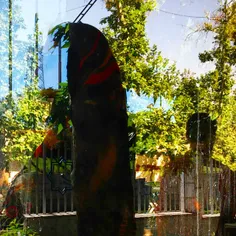 #dailytehran #street #busstop #reflection #man #woman #gr